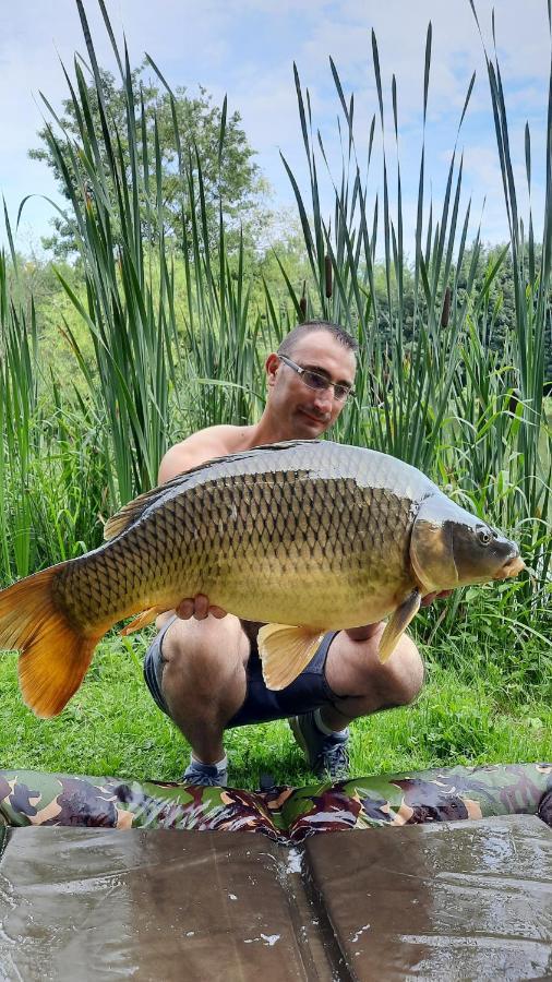 Les Etangs Du Moulin D'Harcy Acomodação com café da manhã Lonny Exterior foto